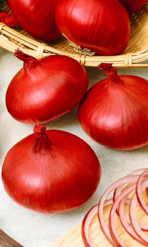 Лук репчатый Ред Барон (УД) 0,25 гр. цв.п.