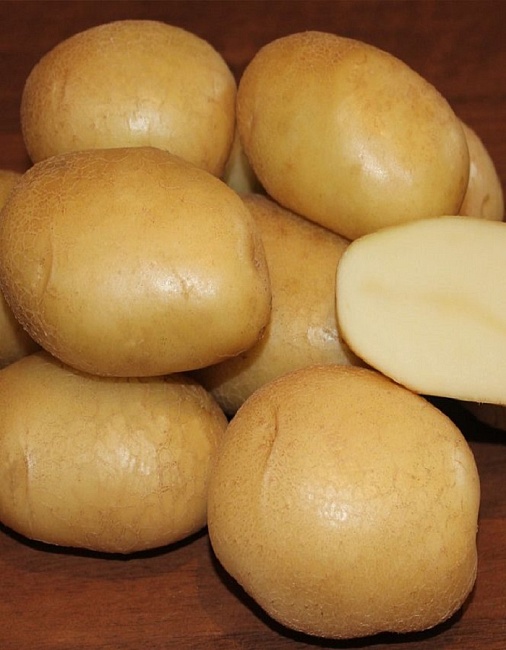 Картофель Крепыш, суперэлита