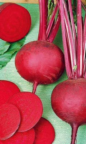 Свекла Любава (УД)  2 гр  цв.п