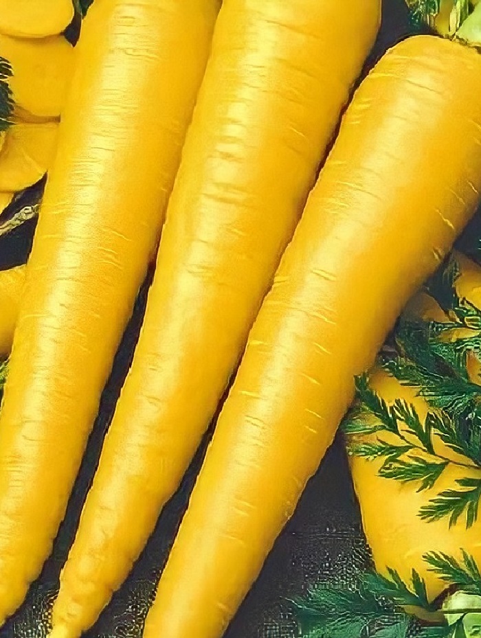 Морковь Чурчхела жёлтая (УД) 0,5 гр цв.п., Морковь, Морковь семена