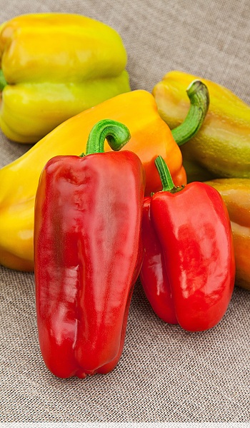 Перец сладкий Воловье ухо 0,1 гр цв.п