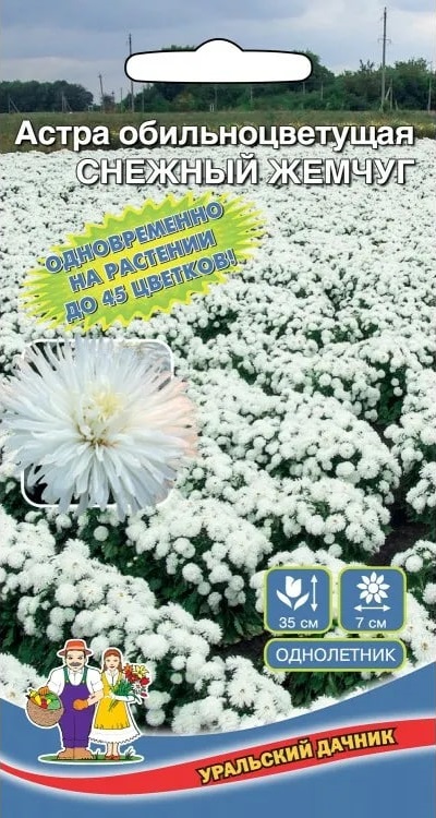 Астра обильноцветущая Снежный жемчуг (УД) 0,2 гр цв п