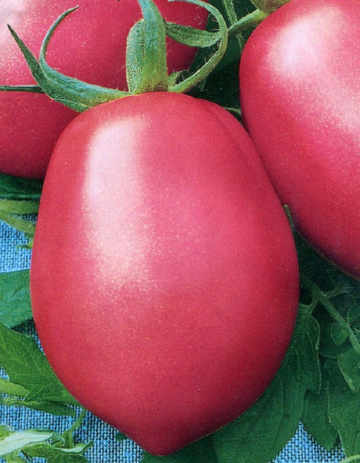 Томат Розовый фламинго 0,03 гр цв.п. семена томат розовый фламинго
