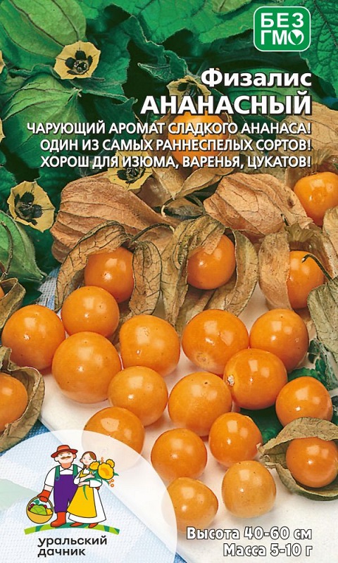 Физалис Ананасный (УД) 20 шт цв п