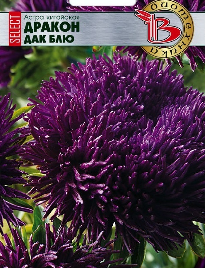 

Астра Дракон селект Дак Блю 30 шт