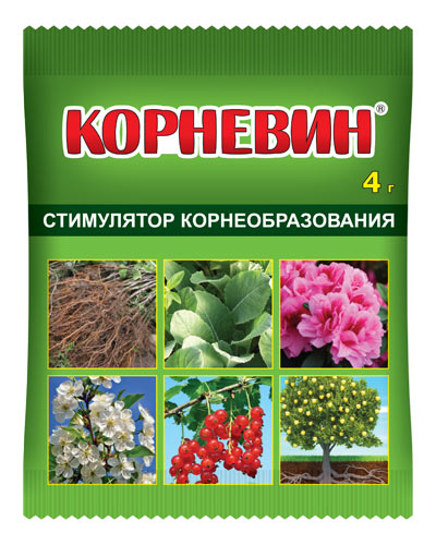 

Корневин, стимулятор корнеобразования 4 г