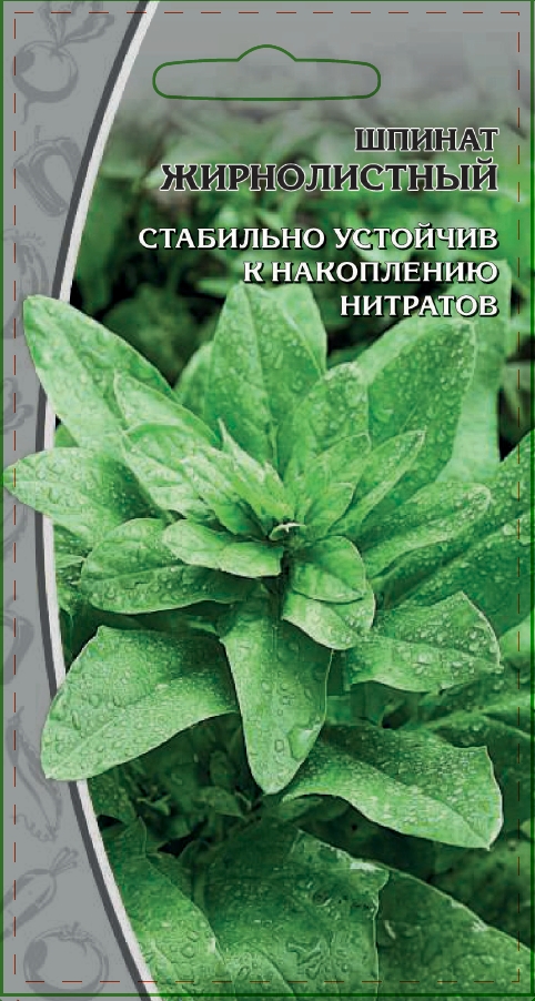 Шпинат Жирнолистный 1 гр цвп 35₽