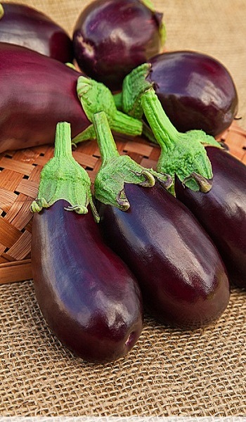 Баклажан Альбатрос 0,1 гр. цв.п.