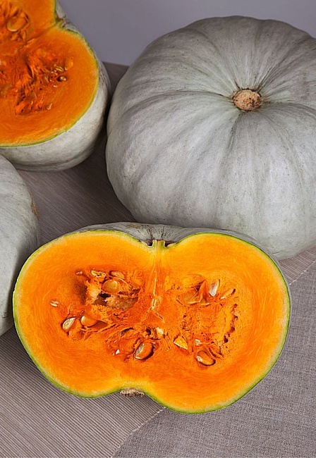 Тыква крупноплодная Крошка  2 гр б.п