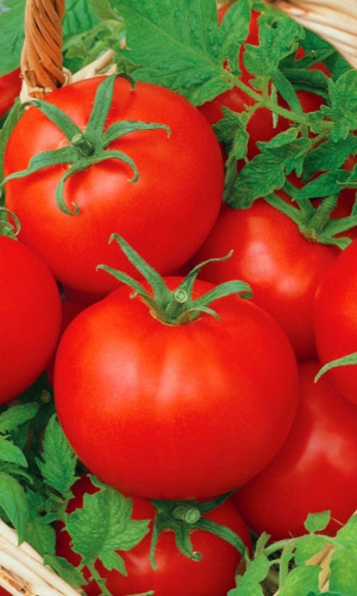 Томат Горожанка F1 (УД) 12 шт цв.п семена томат верлиока плюс f1 12 шт