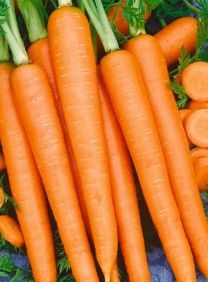 Морковь Нандрин F1 (УД) 150 шт цв.п. морковь нандрин f1 семена