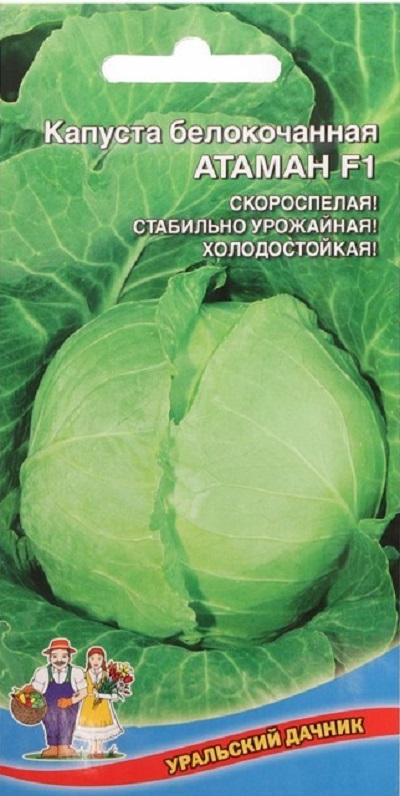 

Капуста белокочанная Атаман (УД) F1 0,2 гр цв.п.
