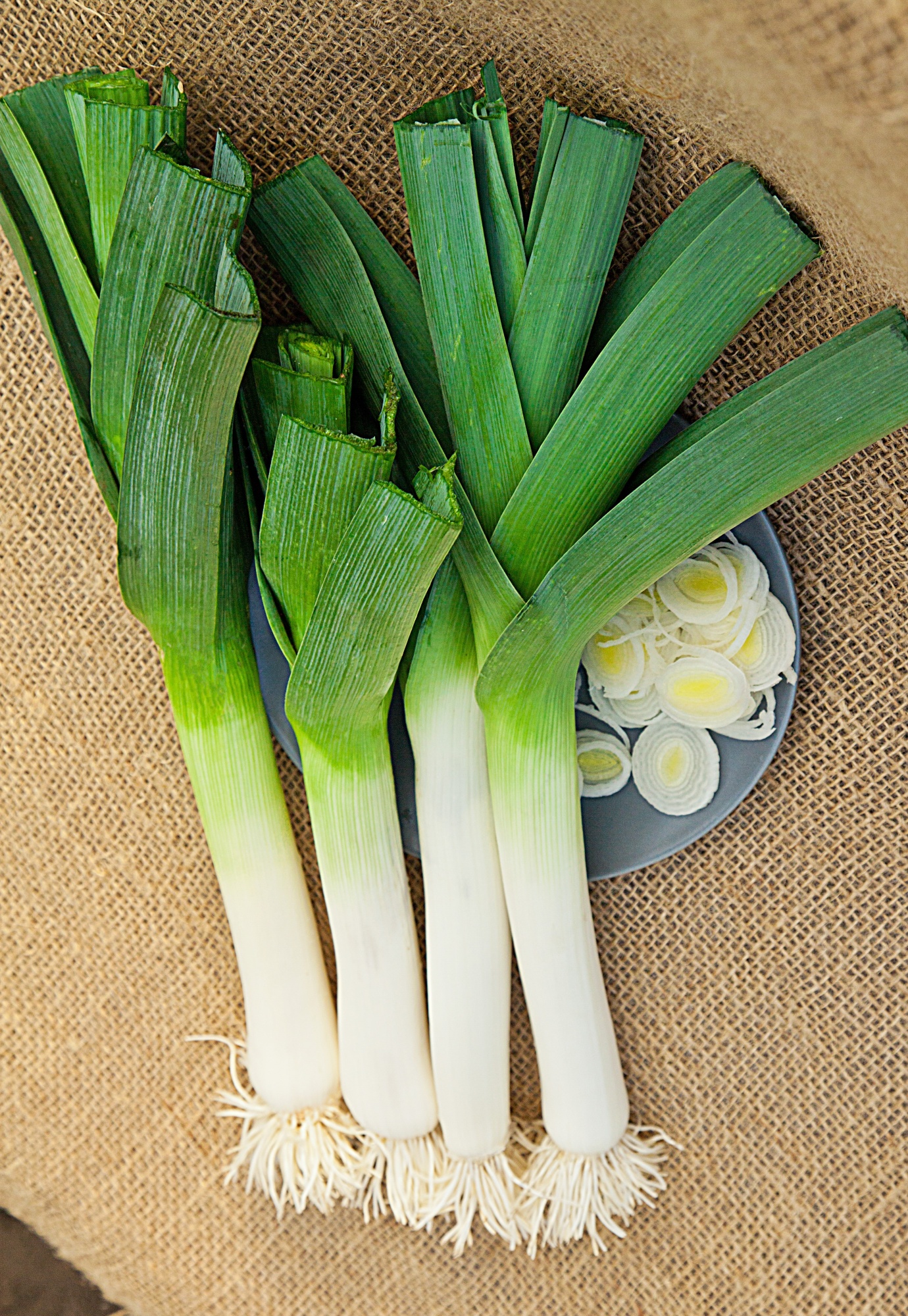 Лук порей Карантанский 0,5 гр цв.п.