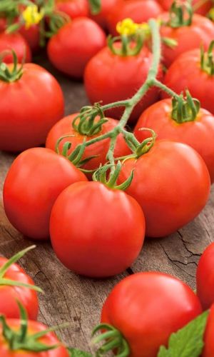 Томат Непасынкующийся Округлый (УД) 20 шт цв.п