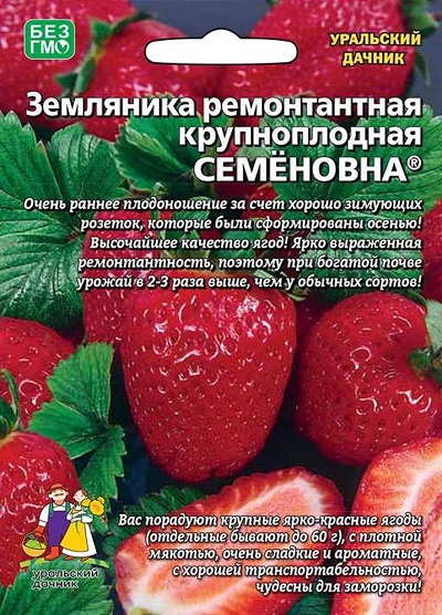 Земляника Семёновна - ремонтантная (УД) 10 шт