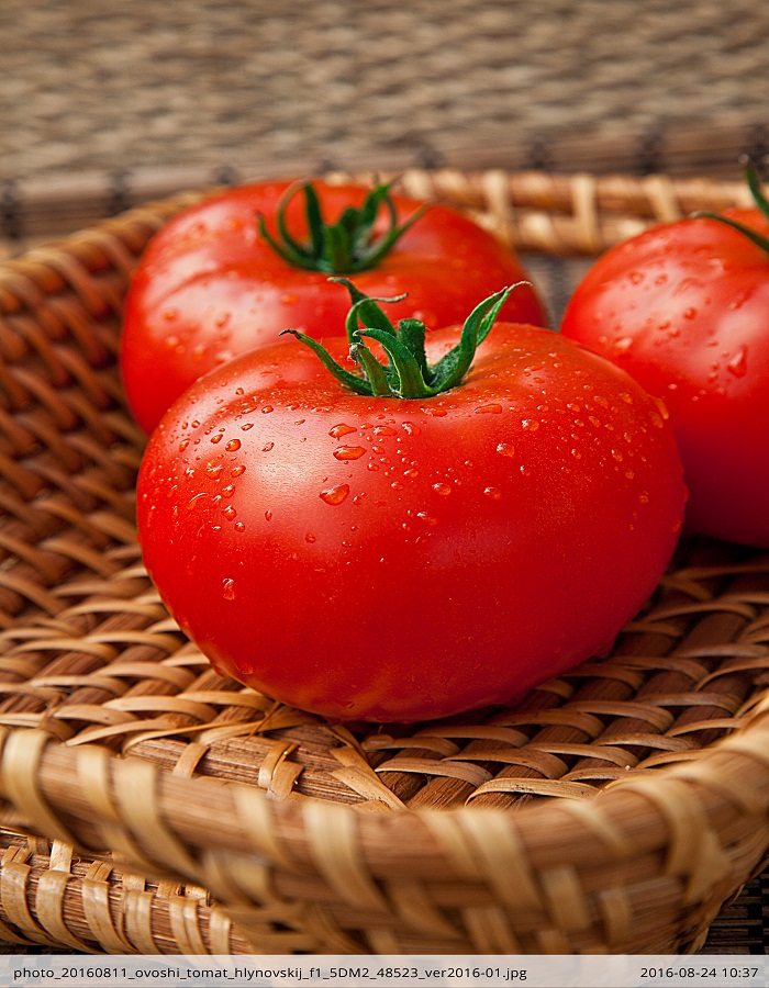 

Томат Хлыновский F1 0,03 гр цв.п