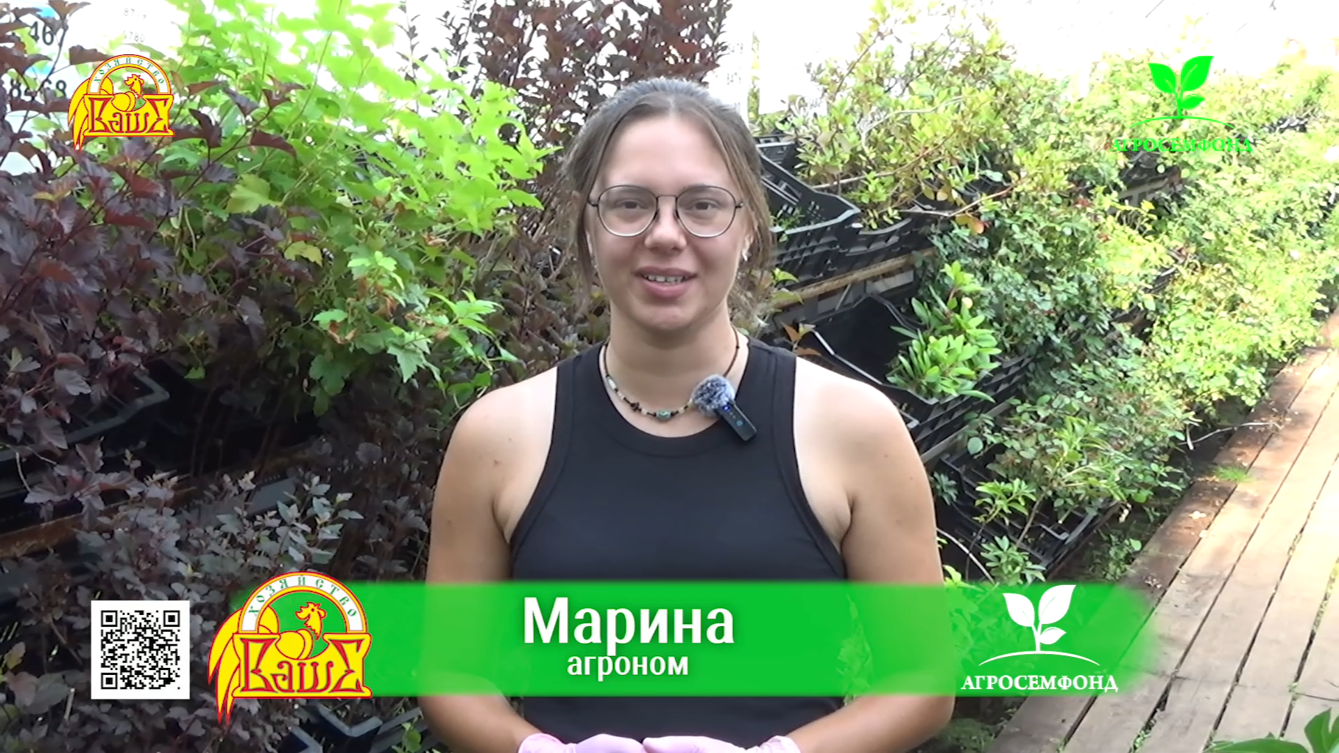 Многолетние цветы