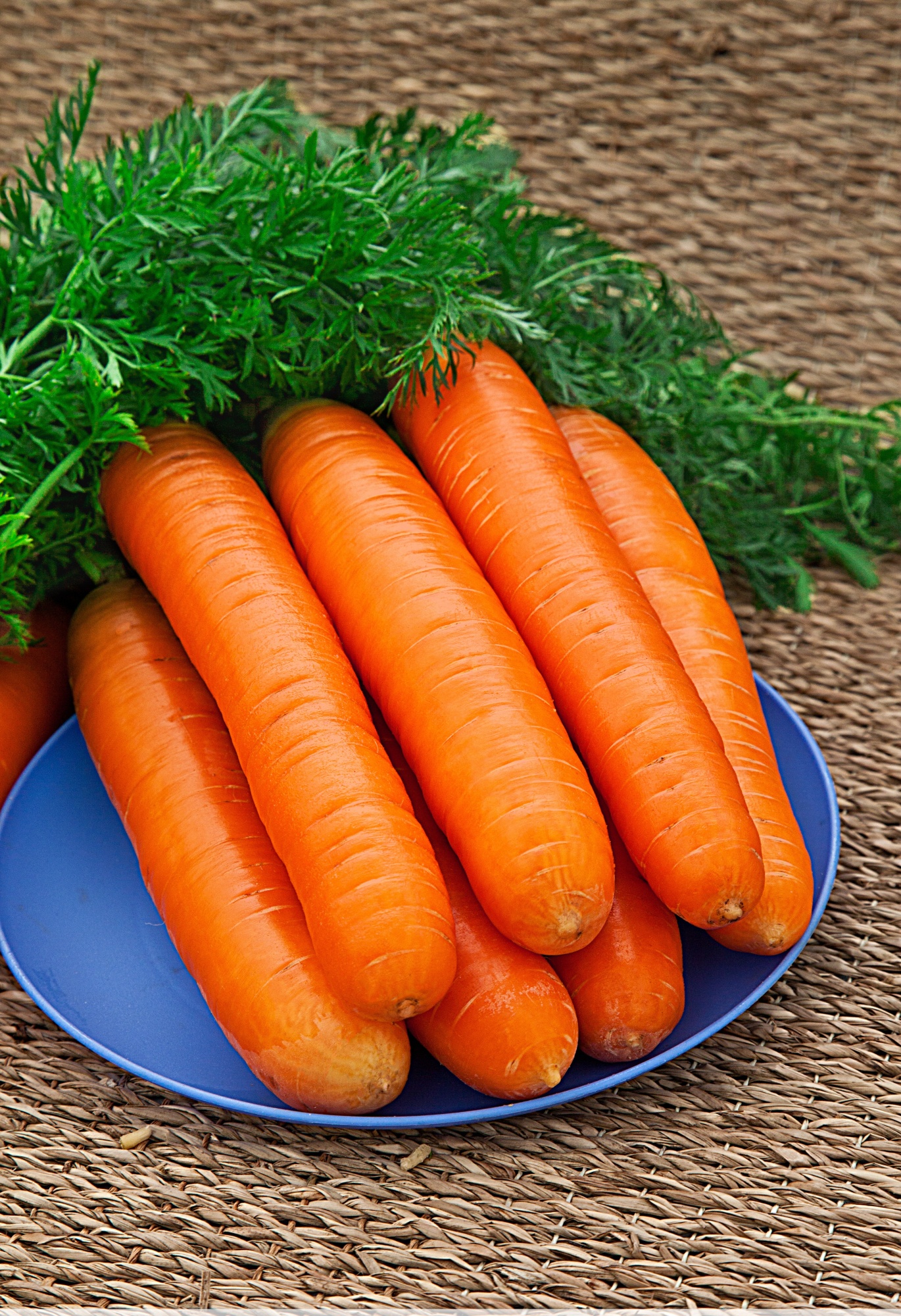 Морковь Нантская 4 (Гранулы) 300 шт семена гавриш морковь нантская 4 гранулы 300 шт