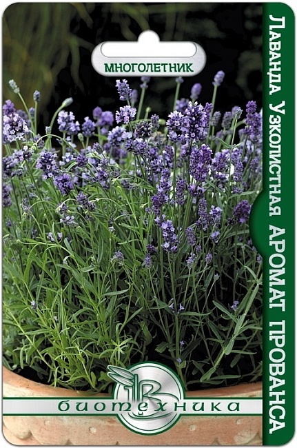 Лаванда узколистная Аромат Прованса 20 шт