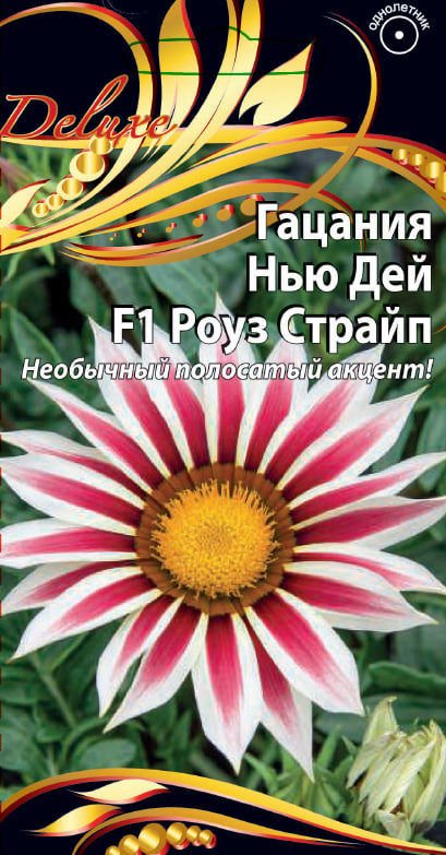 

Гацания Нью Дей F1 Роуз Страйп 4 шт