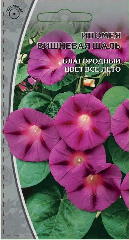 Ипомея Вишневая шаль 0,5 гр