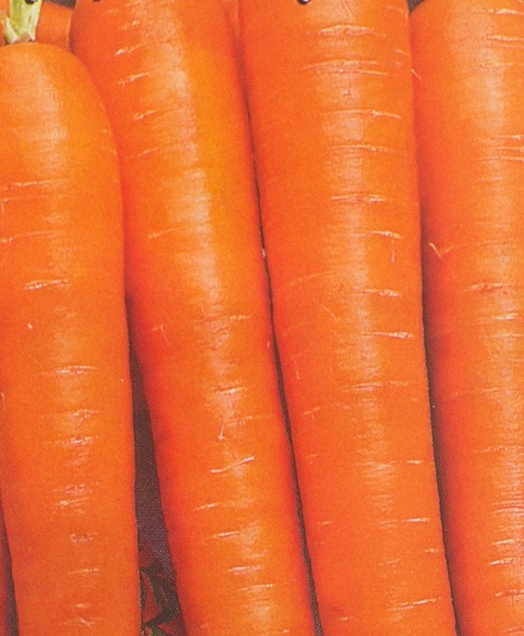 Морковь Нектар F1 (УД) 0,3 гр цв.п. семена морковь детская f1 1 гр