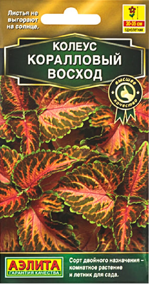 

Колеус блюме Коралловый восход (Аэлита) 5 шт