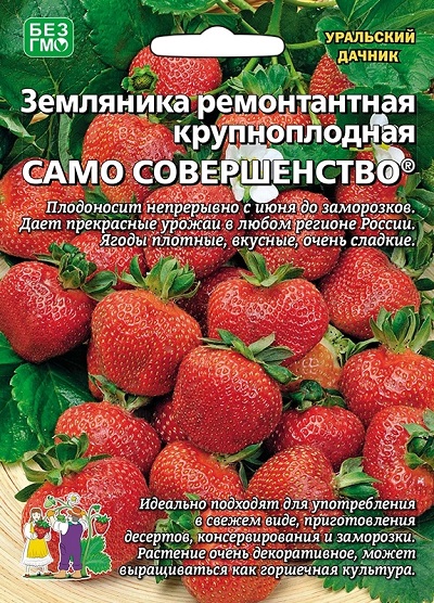 Земляника Само совершенство - ремонтантная (УД) 10 шт