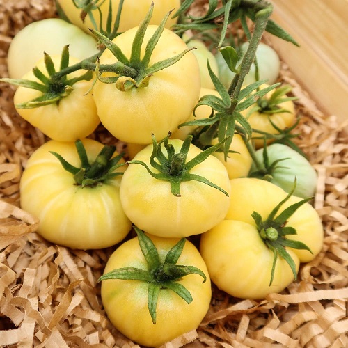 Томат Невеста (УД) 20 шт. цв.п. 