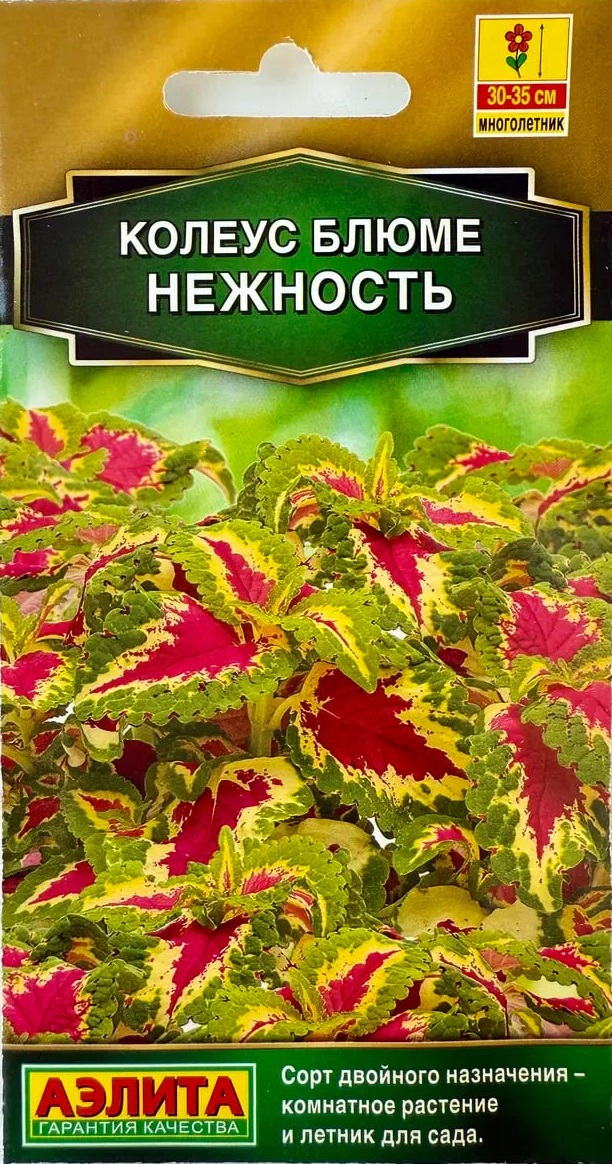 

Колеус блюме Нежность (Аэлита) 5 шт