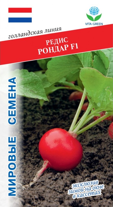Редис Рондар F1 (Syngenta) 1 гр цв.п.