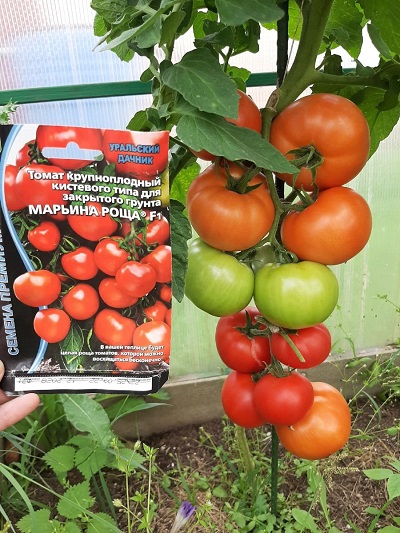 Томат Марьина Роща F1 (УД) 10 шт. цв.п.