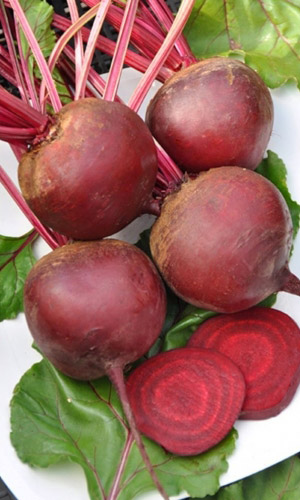 Свекла Бордо односемянная (УД) 2 гр цв.п