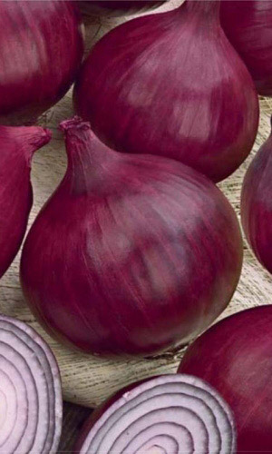 Лук репчатый Черный принц (УД) 0,25 гр. цв.п.