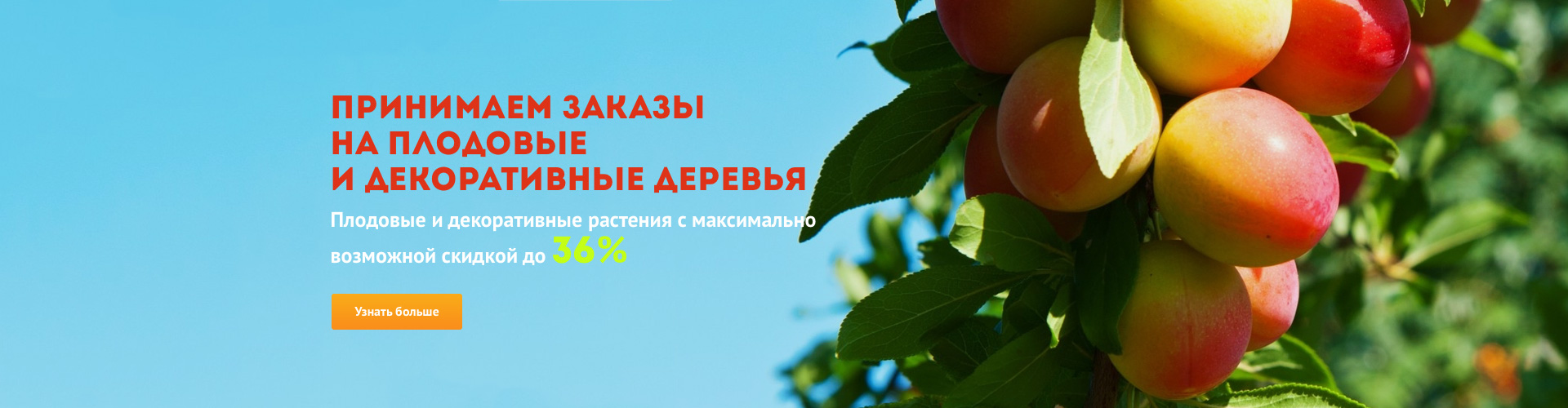 Семена почтой интернет магазин | Семена купить в Агросемфонд