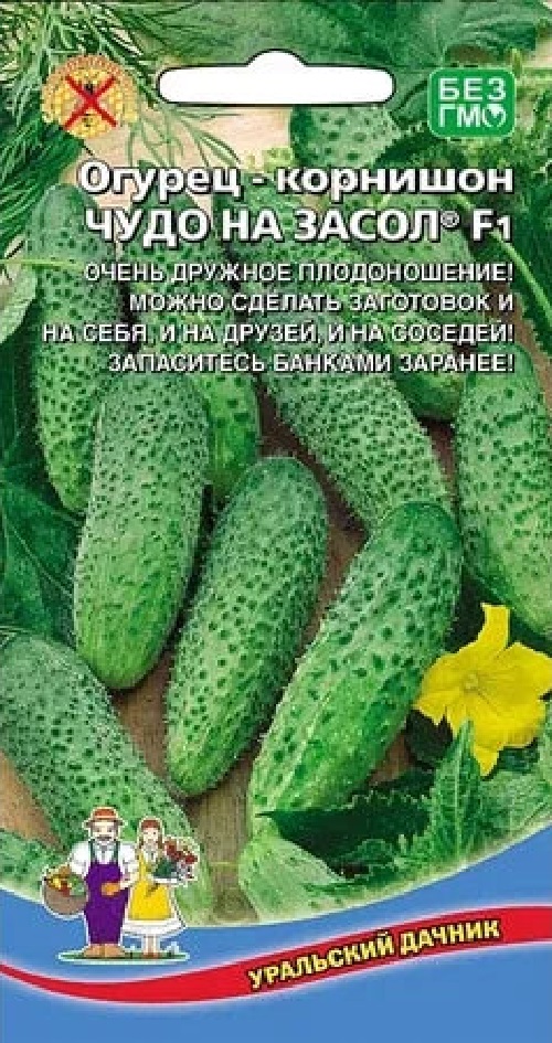 

Огурец Чудо на засол F1 (УД) 10 шт цв.п