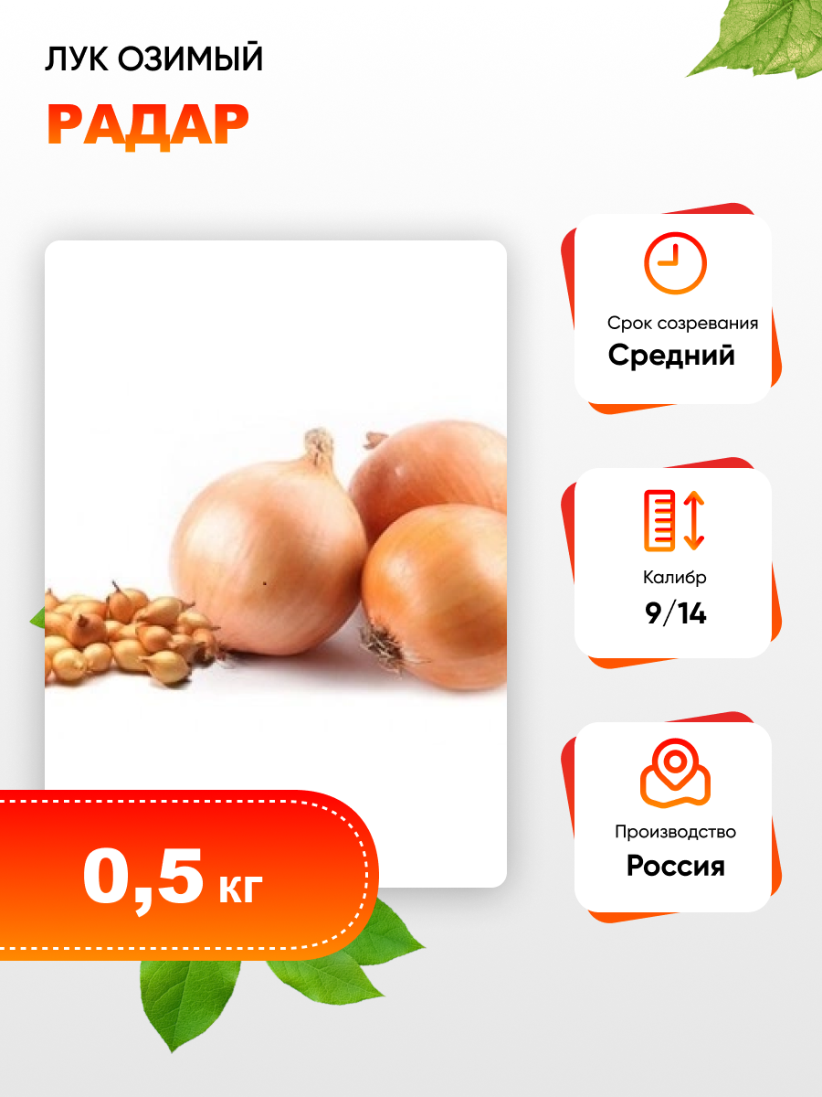 

Лук озимый Радар (калибр 9/14) 200 шт
