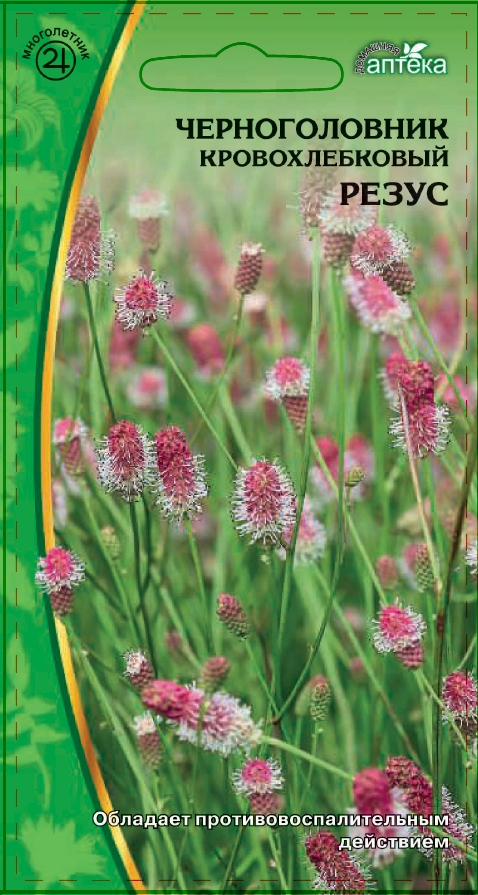 

Черноголовник кровохлебковый Резус 0,2 гр