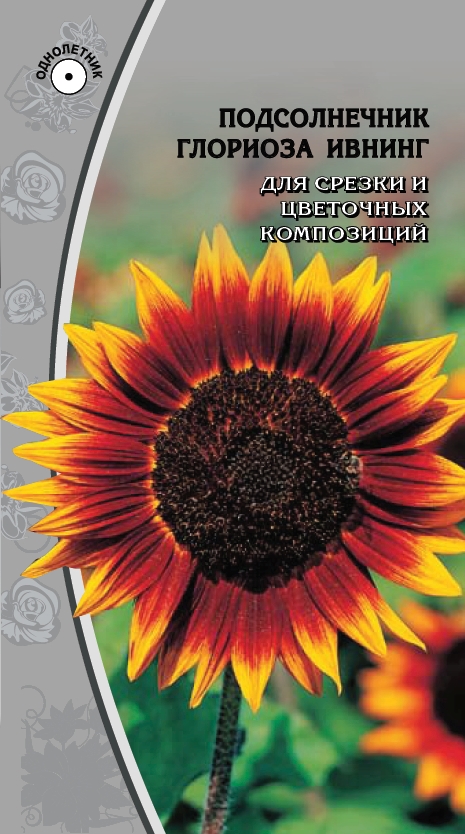 

Подсолнечник Глориоза Ивнинг 1 гр