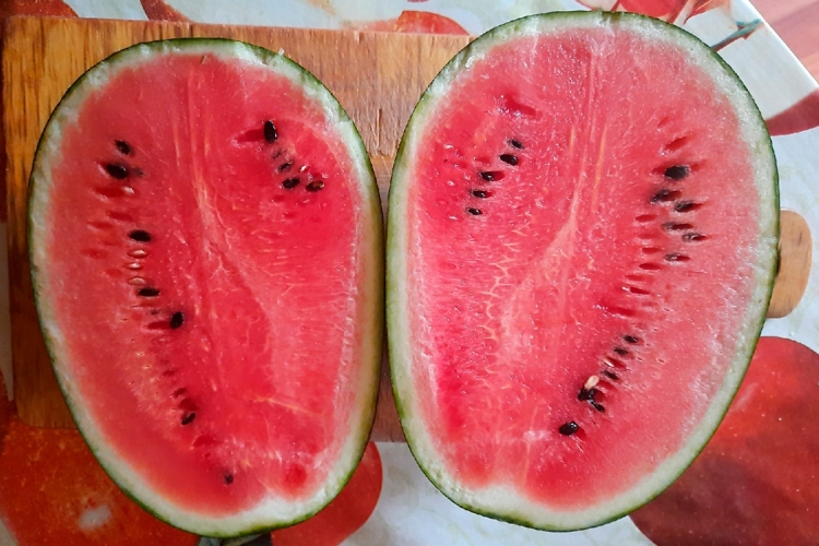 Арбуз Уральский скороспел (УД) 3 шт цв п