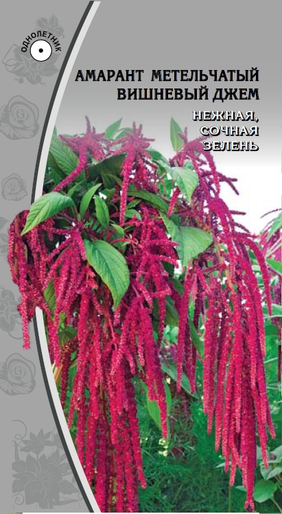 Амарант метельчатый Вишневый джем  0,1 гр