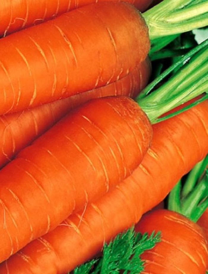 Морковь Красный Мускат (УД) 2 гр цв.п., Морковь, Морковь семена