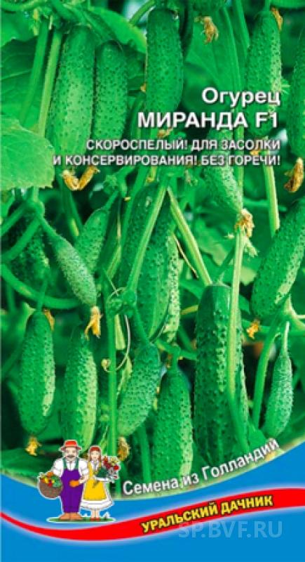 Огурец Миранда F1 (УД) 6 шт