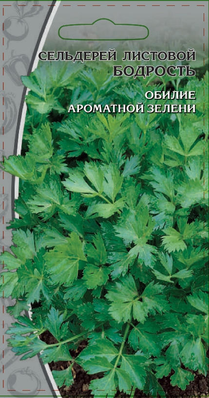

Сельдерей листовой Бодрость 0,5 гр цв.п