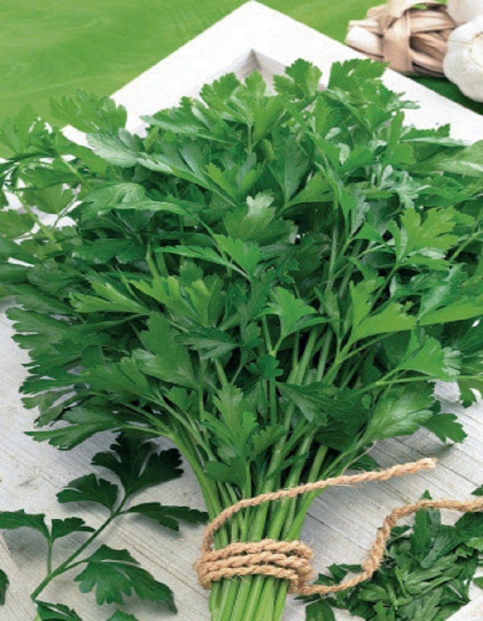 

Петрушка листовая Карнавал (УД) 2 гр цв.п.