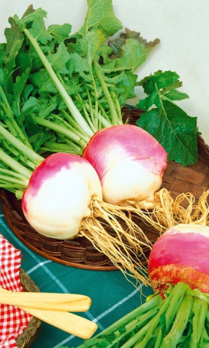 Брюква Русская Десертная (УД) 0,5 гр цв.п.