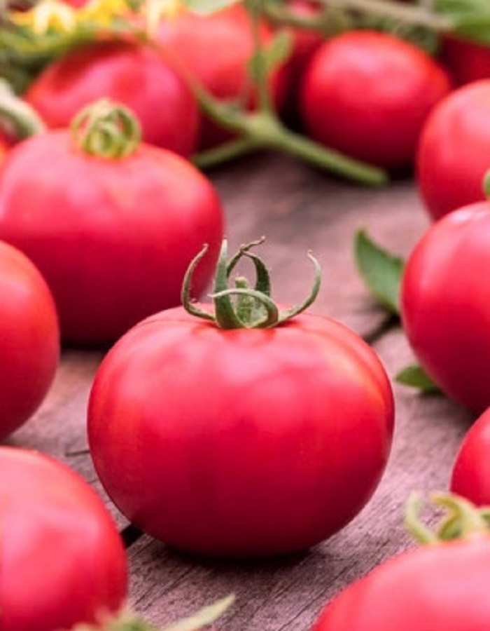 Томат Непасынкующийся Розовый (УД) 20 шт цв.п семена томат непас 12 крупный непасынкующийся