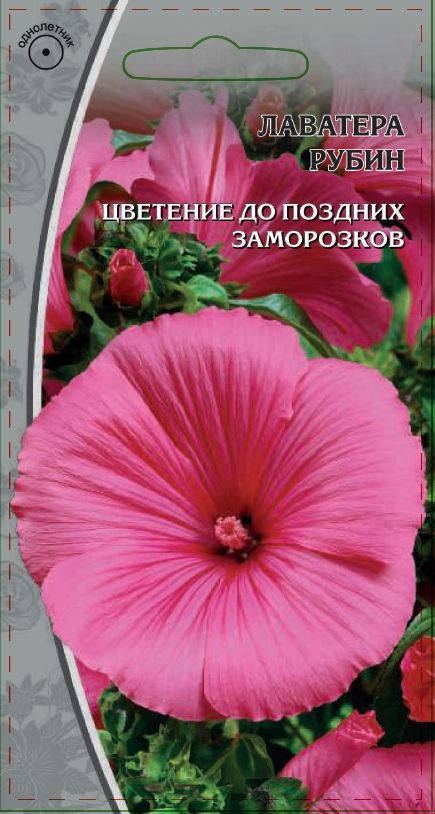 

Лаватера Рубин 0,5 гр