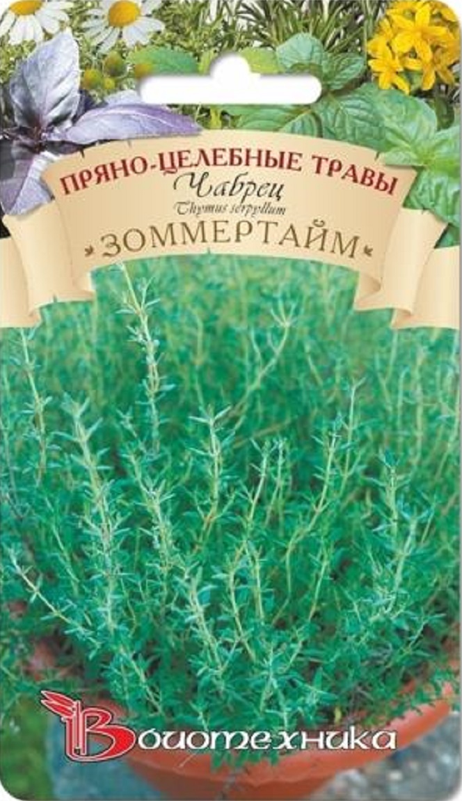 

Чабрец Зоммертайм 0,05 гр