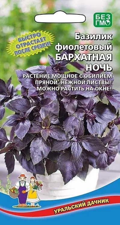 

Базилик овощной Бархатная ночь-фиолетовый (УД) 0,25 гр цв.п.